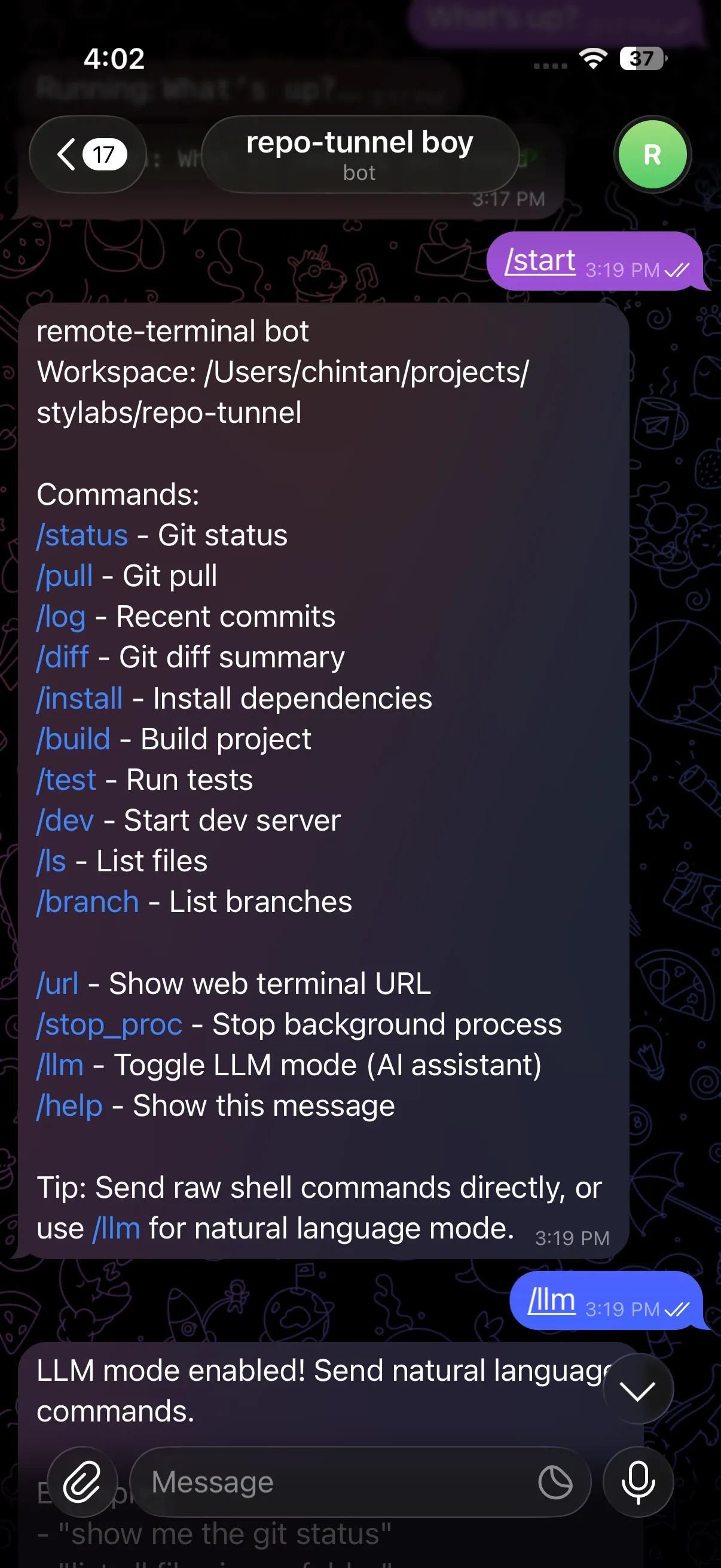 Telegram bot with /start command